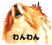 840350087