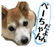840350507