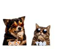 840351167