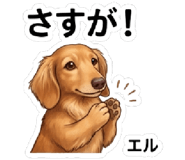 840351802