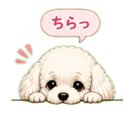 840353576