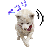 840354137