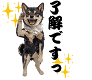 840354144