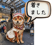 840354149