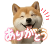 840354623