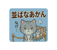 840355076