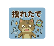 840355078