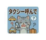 840355081