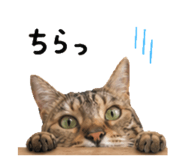 840355861