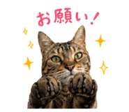 840355865