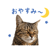 840355869