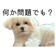 840356503