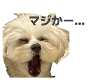 840356504