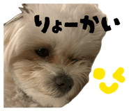 840356508
