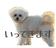 840356509