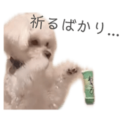 840356526