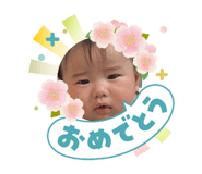840356816