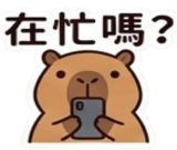 840357509