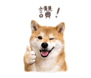 840358508