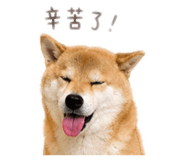 840358514