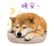 840358515