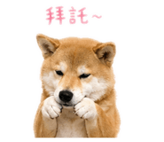 840358520