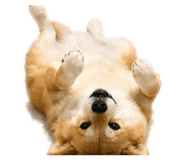 840358522