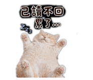 840360853