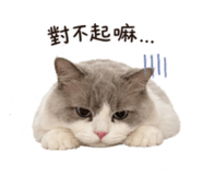 840362297
