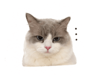 840362298