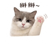 840362300
