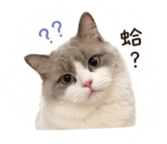 840362302