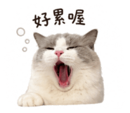 840362303