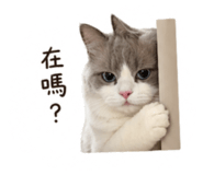 840362306