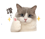 840362307