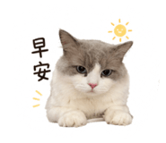 840362309