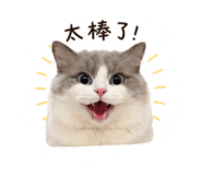 840362310