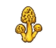 840362655