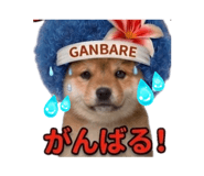 840365819