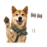 840365976