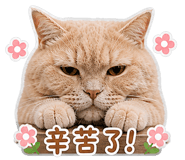 840366315