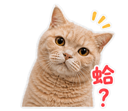 840366320