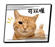 840366445