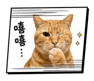 840366447