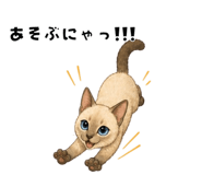 840367099