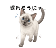 840367111