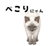 840367113