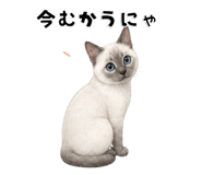 840367114