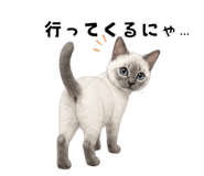 840367116