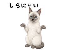 840367118